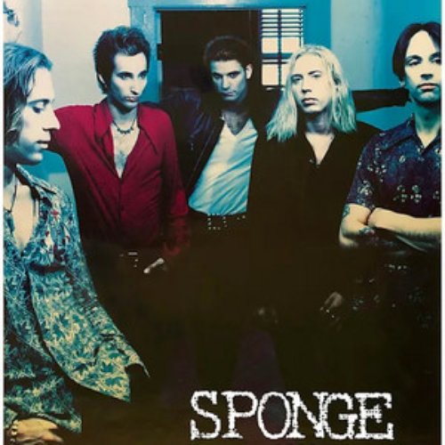 Sponge - Single