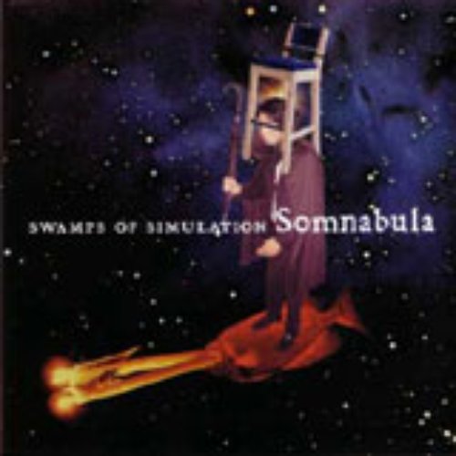 Swamps of Simulation