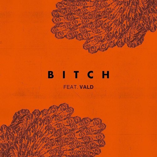 Bitch (feat. Vald)