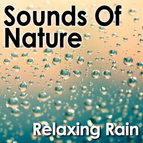 Sounds of Nature: Relaxing Rain