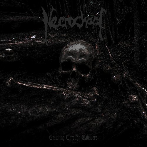 Crawling Through Cadavers