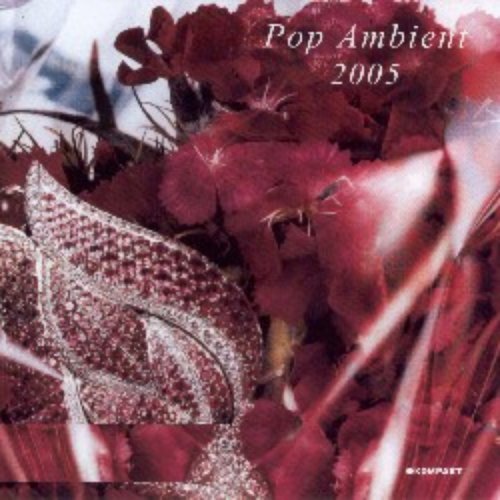 POP AMBIENT 2005