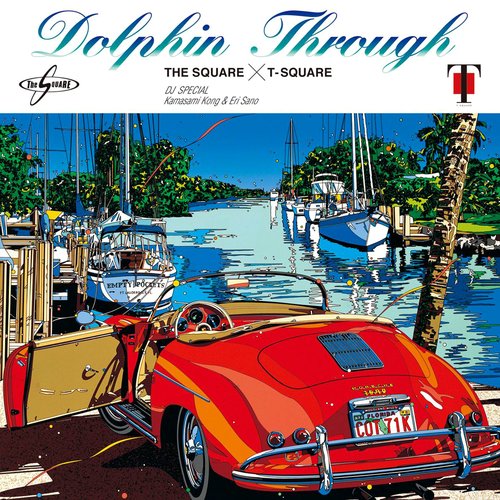 Dolphin Through