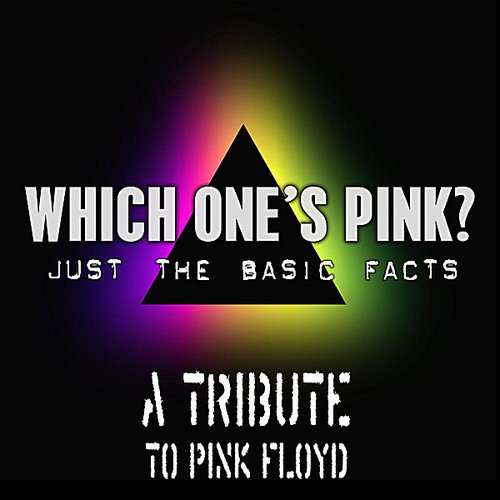 Pink Floyd Tribute: Just the basic facts