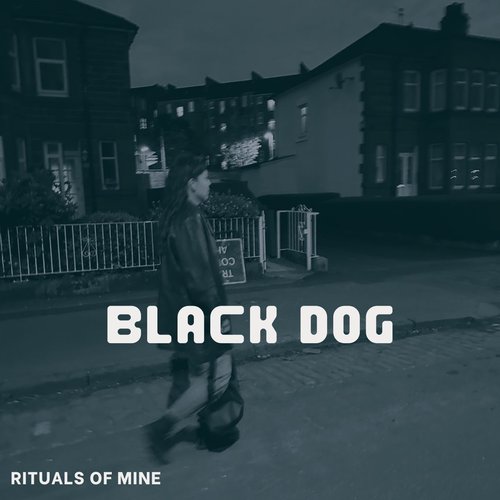 Black Dog