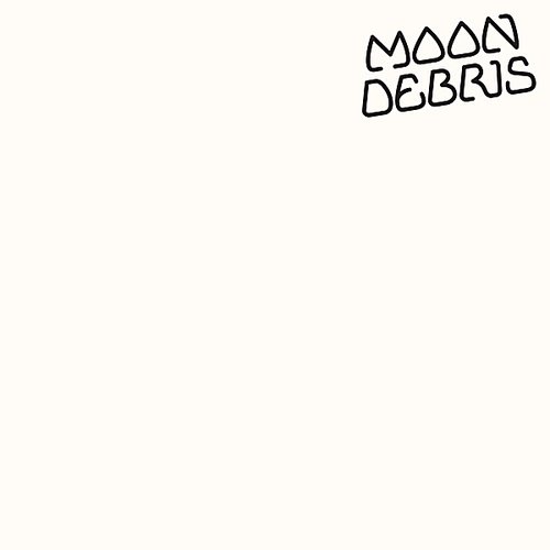 Moon Debris