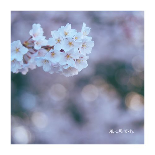Feel the Wind - Single