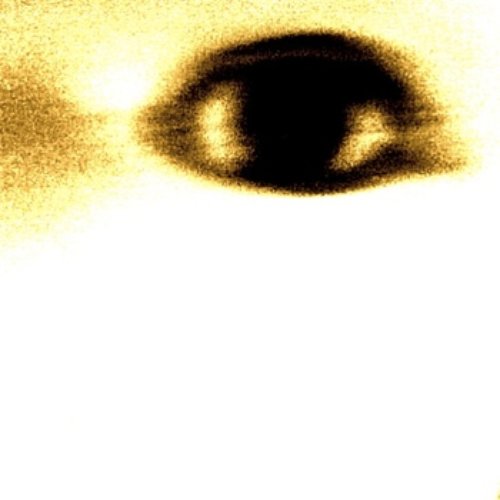 You Are