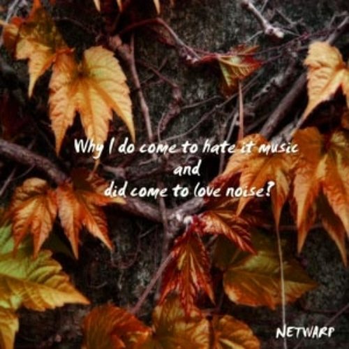 Why I do come to hate it music and did come to love noise?