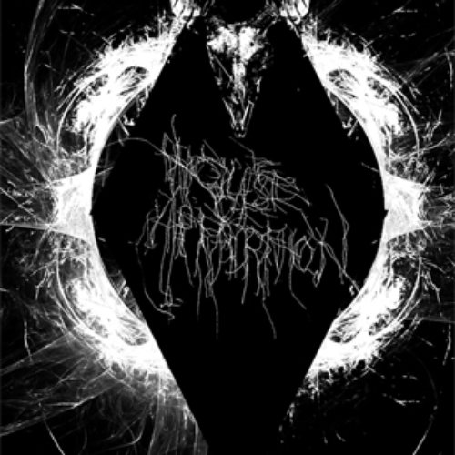 Demo II