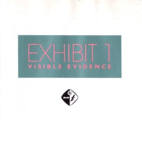 Exhibit 1 (Visible Evidence)