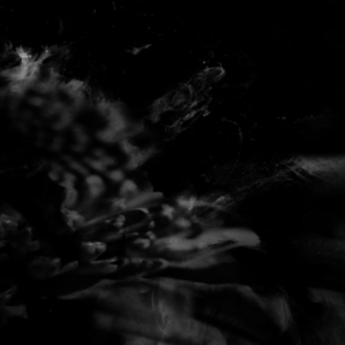 Monochrome