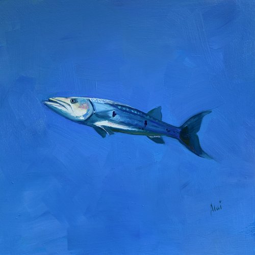 Barracuda