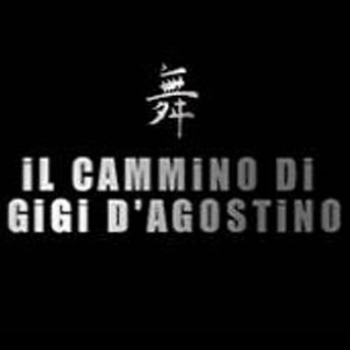 Il Cammino Di Gigi D'Agostino