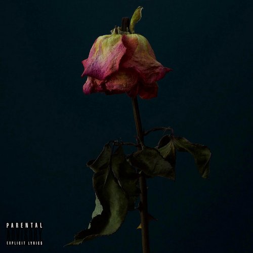 All Roses Die