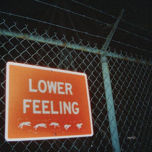 Lower Feeling [Explicit]