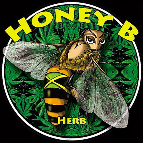 Herb