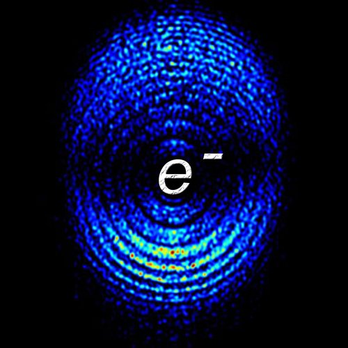 Theory of Everything - Single