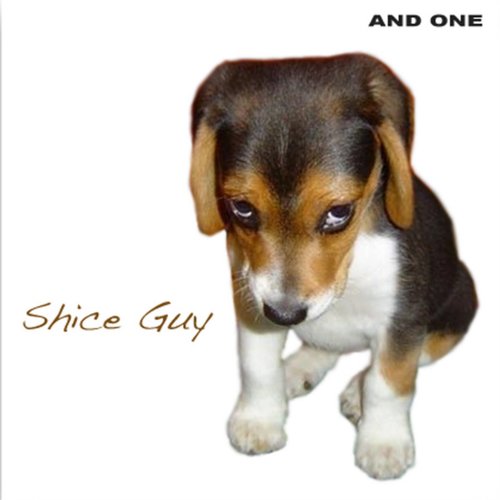 Shice Guy
