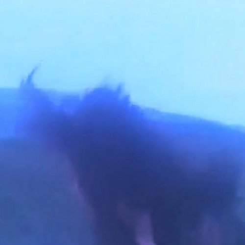 交织的命运