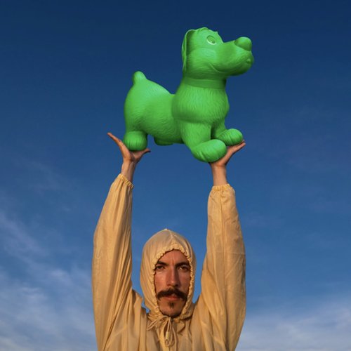 Like a dog