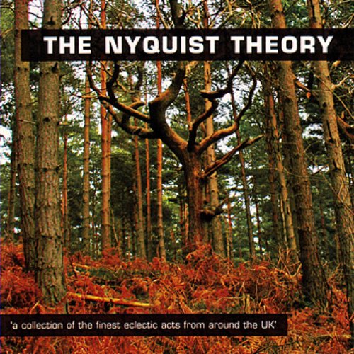The Nyquist Theory