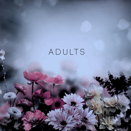 Adults