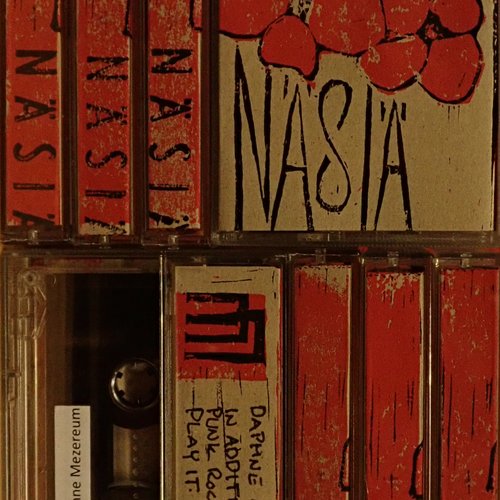 Näsiä