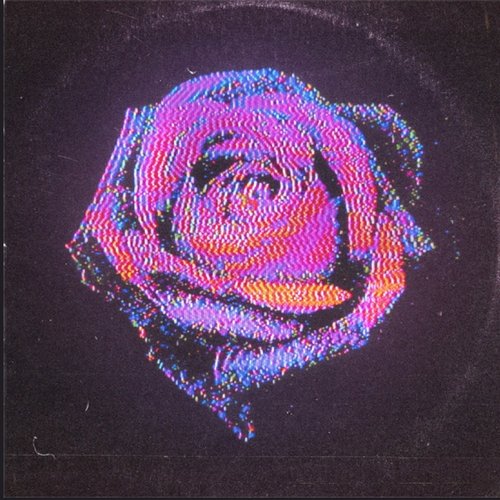 Rose - Single