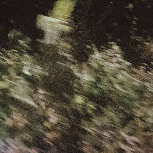 Pavane for a Dead Princess