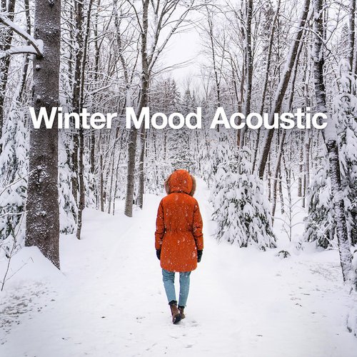Winter Mood Acoustic