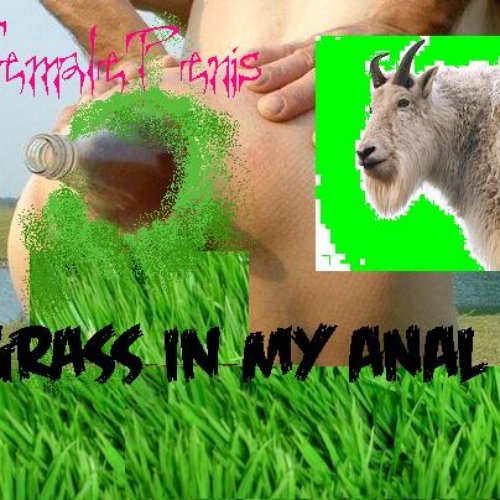 Grass in My Anal