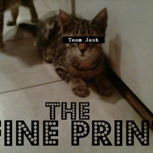 The Fine Print