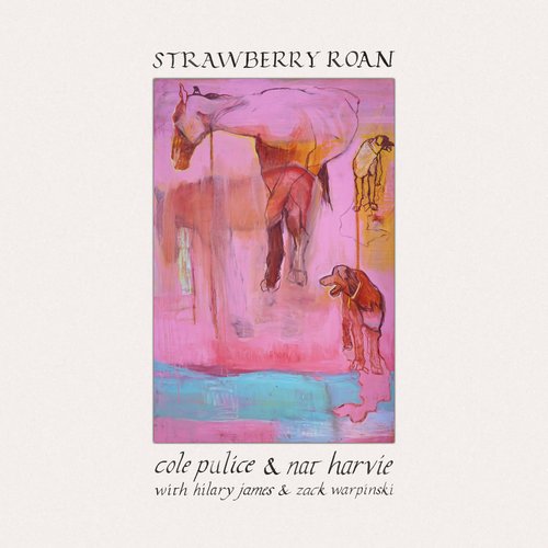 Strawberry Roan