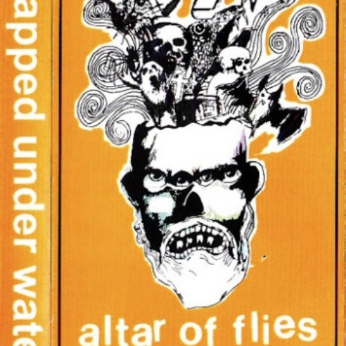 Trapped Under Water