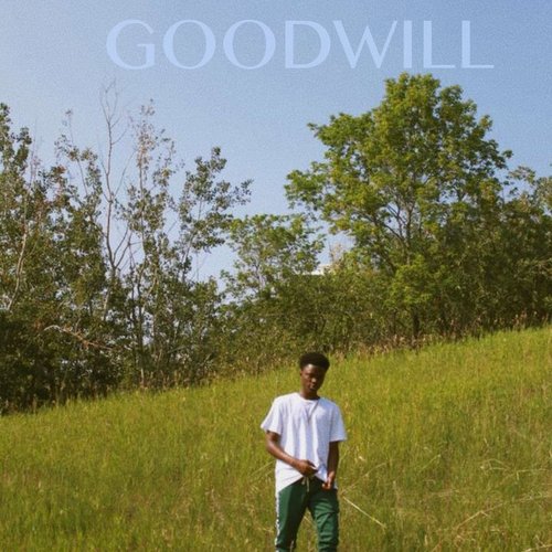 Goodwill