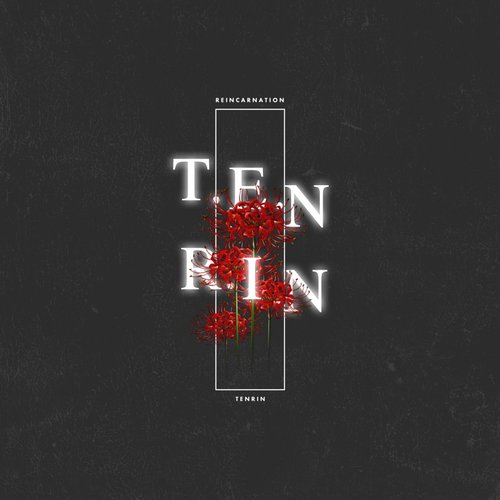T.E.N.R.I.N