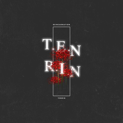 T.E.N.R.I.N