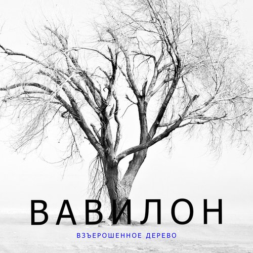 Взъерошенное дерево