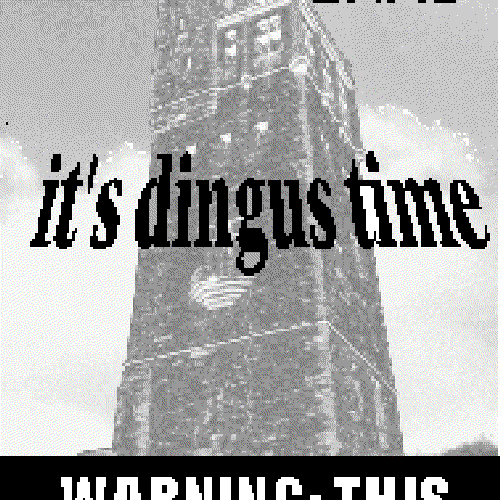 It's Dingus Time