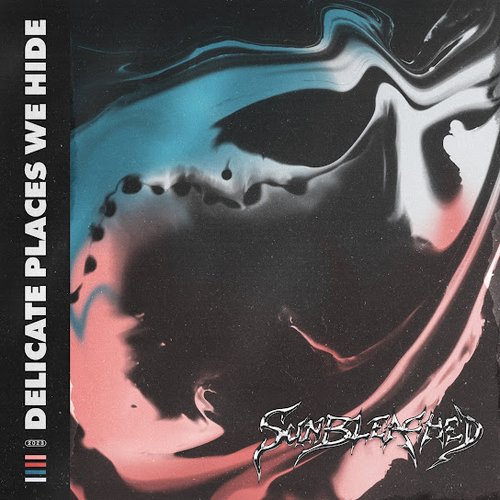 Delicate Places We Hide - EP