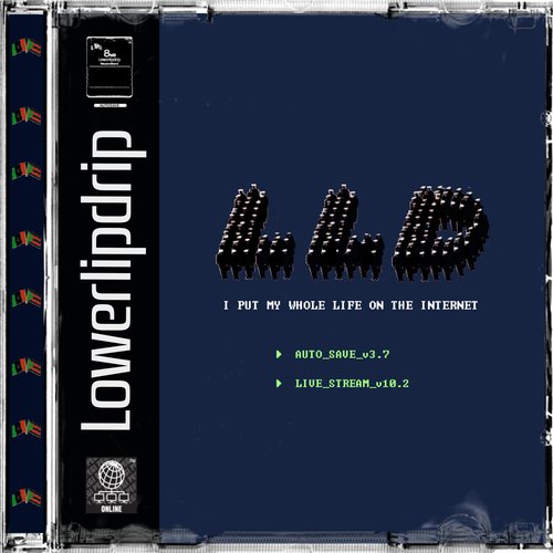 I Put My Whole Life on the Internet