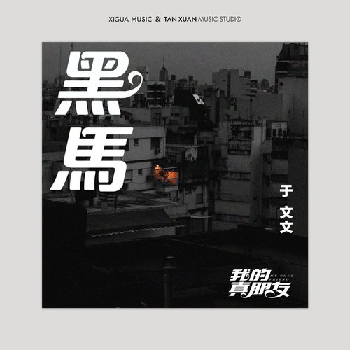 黑馬-電視劇《我的真朋友》插曲