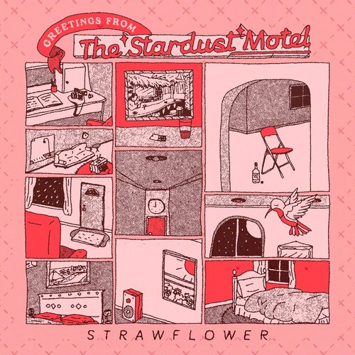 Greetings from the Stardust Motel