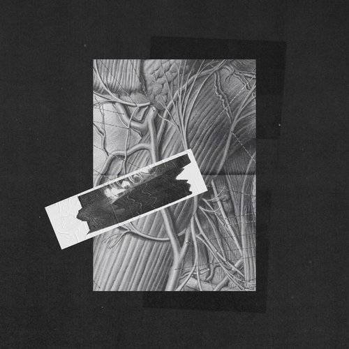 L'Aliment - Single