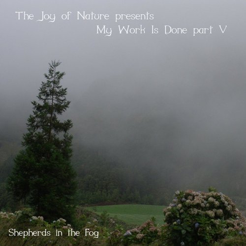 My Work Is Done, Part V: Shepherds in the Fog
