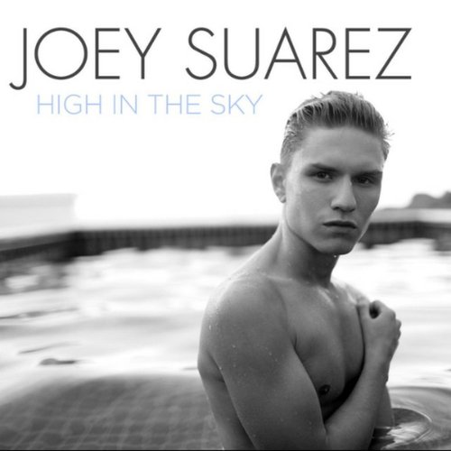 High in the Sky - Single
