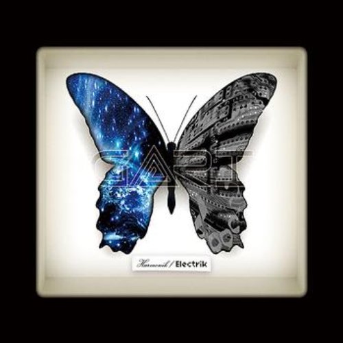 Harmonik / Electrik