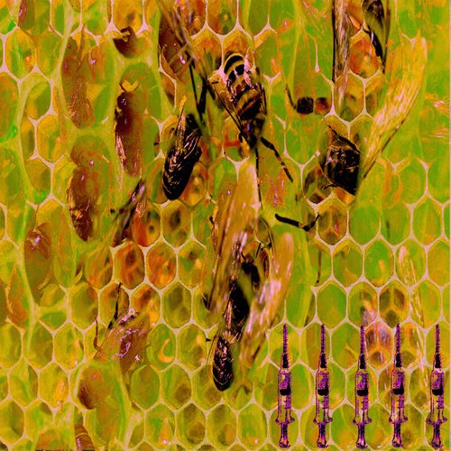 ⬡⬡⬡⬡⬡⬡⬡