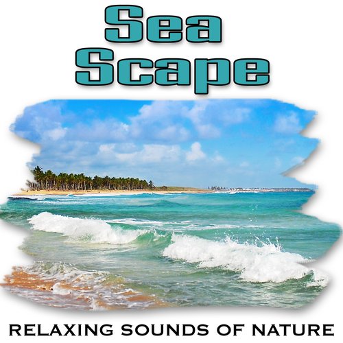Sea Scape (Nature Sounds)